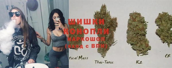соль курить ск Белокуриха