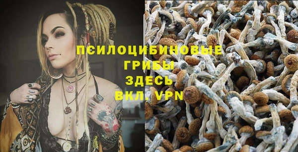 соль курить ск Белокуриха