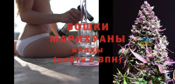 стафф Протвино