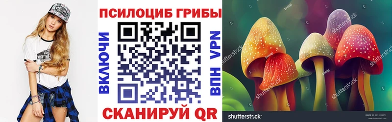 хочу   Кудымкар  Галлюциногенные грибы Psilocybe 